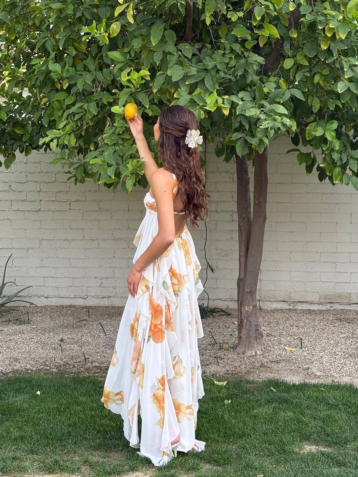 Gwen — Halter-Neck Chiffon Maxi Dress | Open Back | Resort & Evening